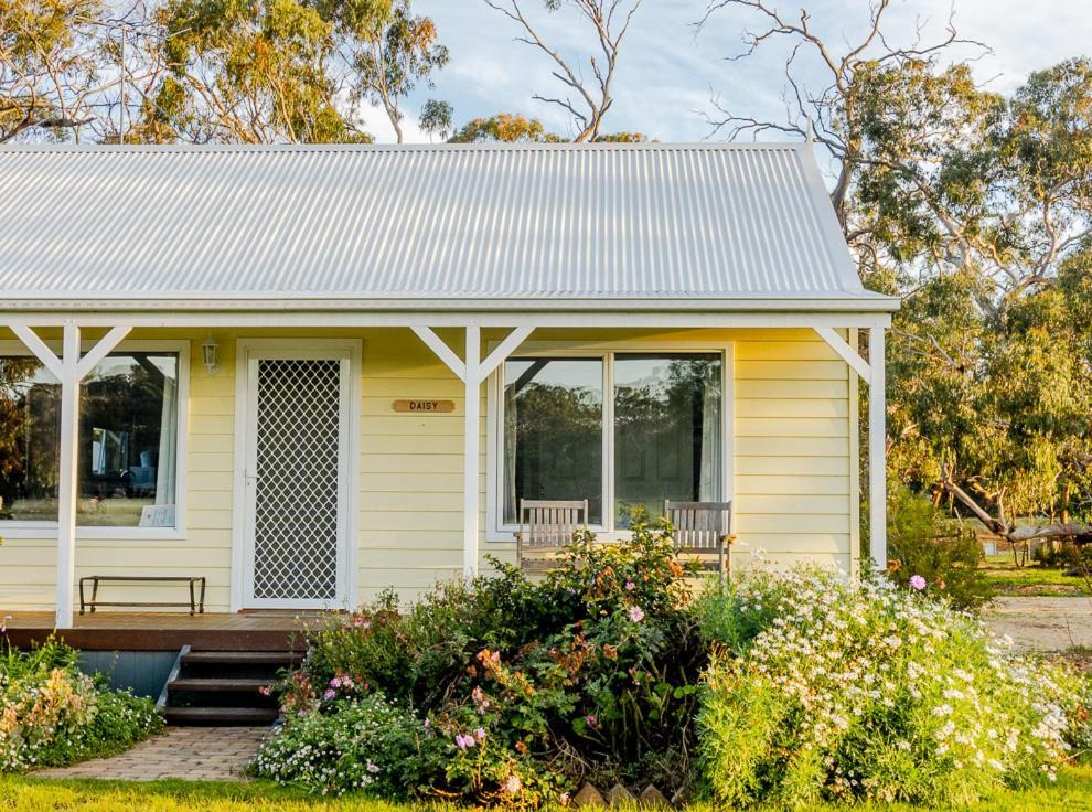 Freshwater Creek Cottages & Farm Stay Torquay Extérieur photo