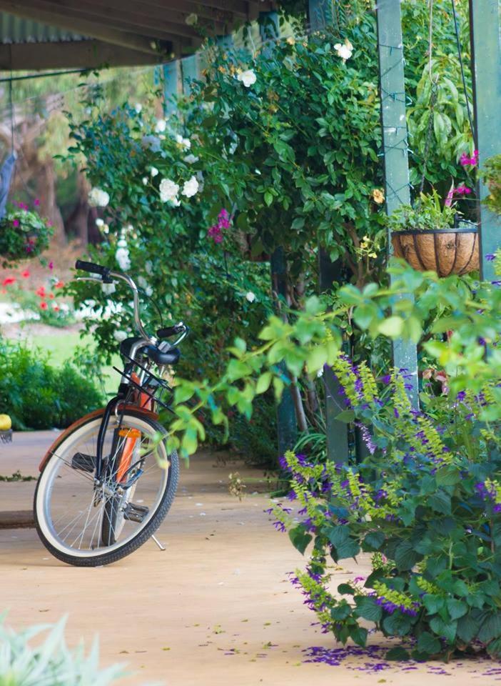 Freshwater Creek Cottages & Farm Stay Torquay Extérieur photo